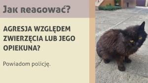 Koci Zakątek