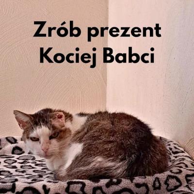 Koci Zakątek