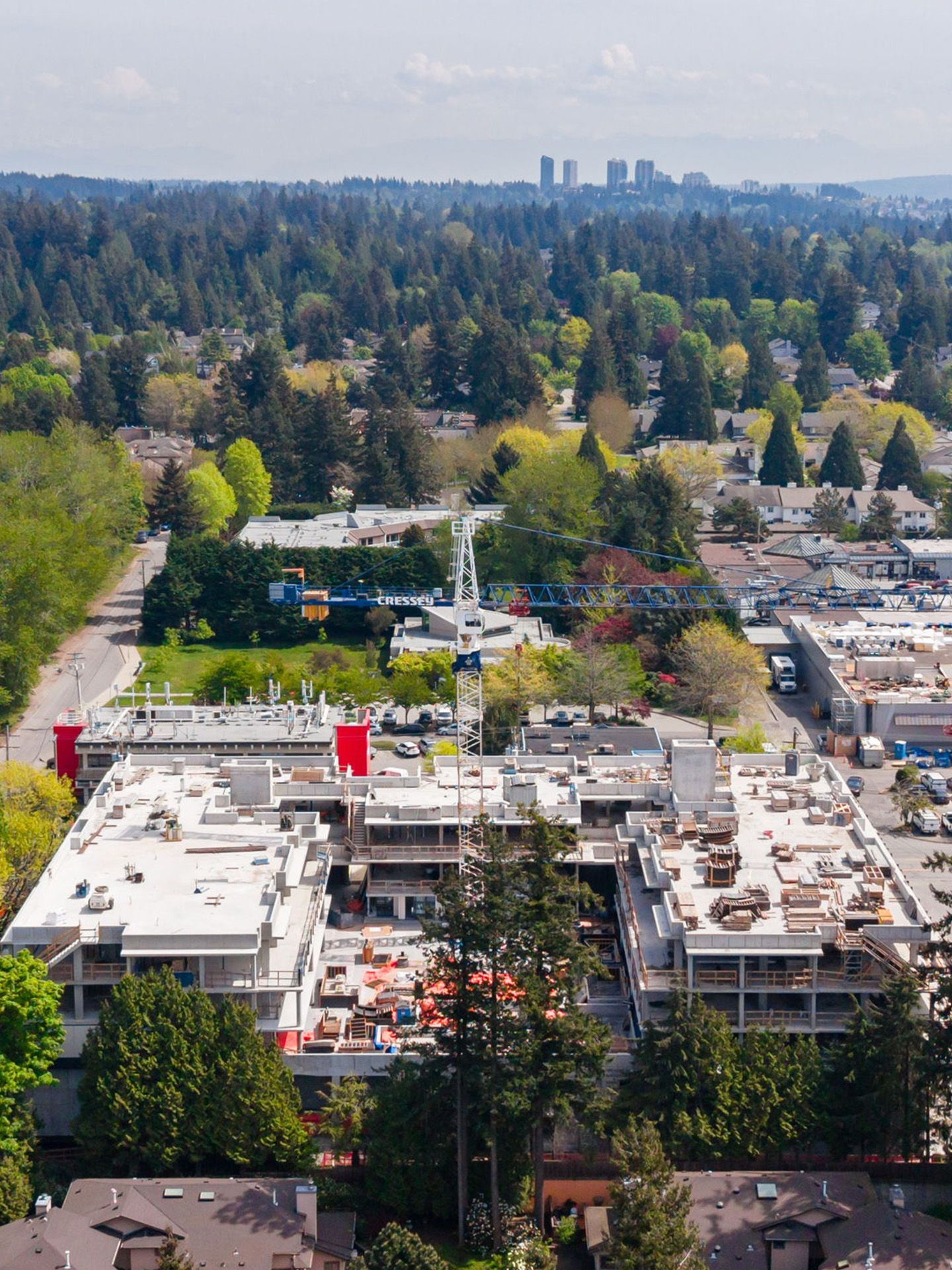 Cross-site view with all levels and courtyard visible, with forest view behind on a sunny day