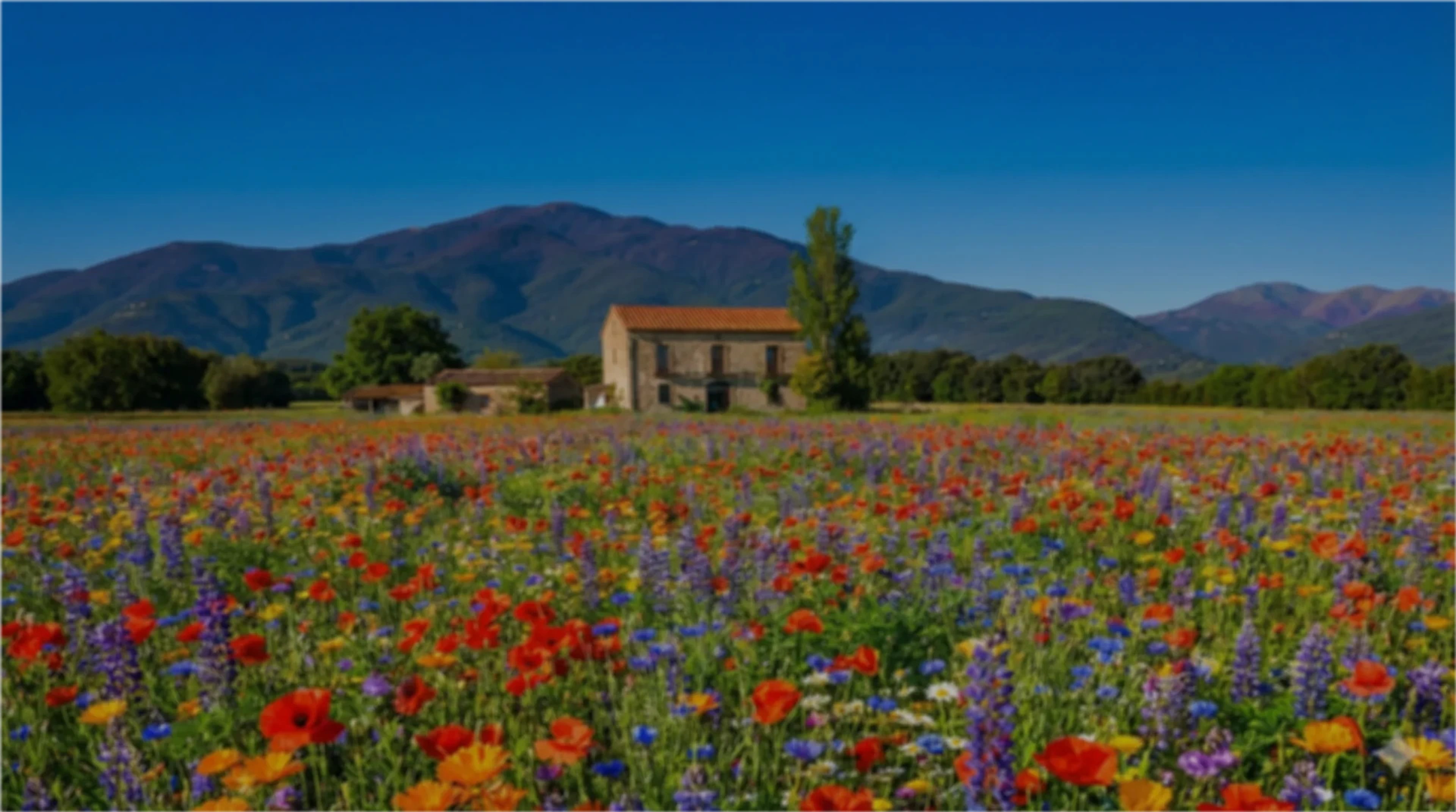 Kalart coliving hero background - Rural coliving Barcelona