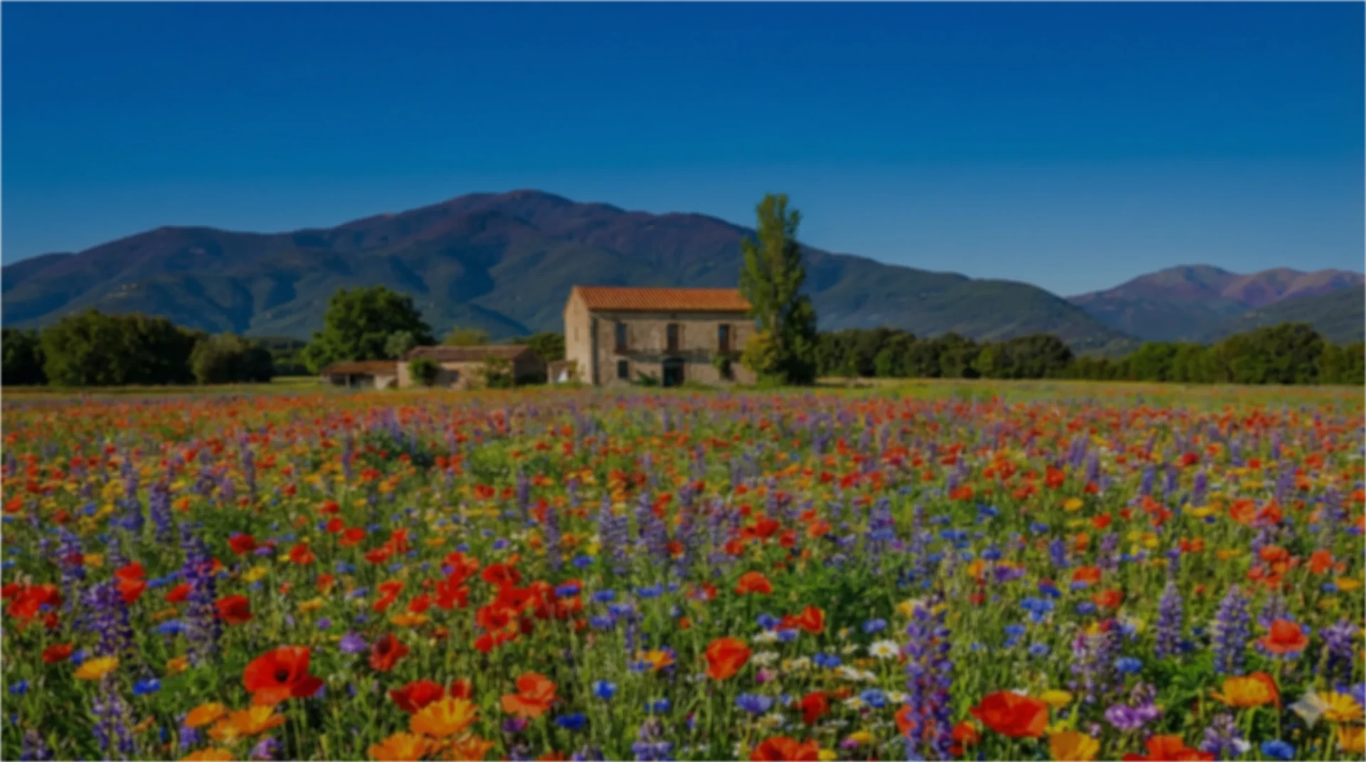 Kalart coliving hero background - Rural coliving Barcelona