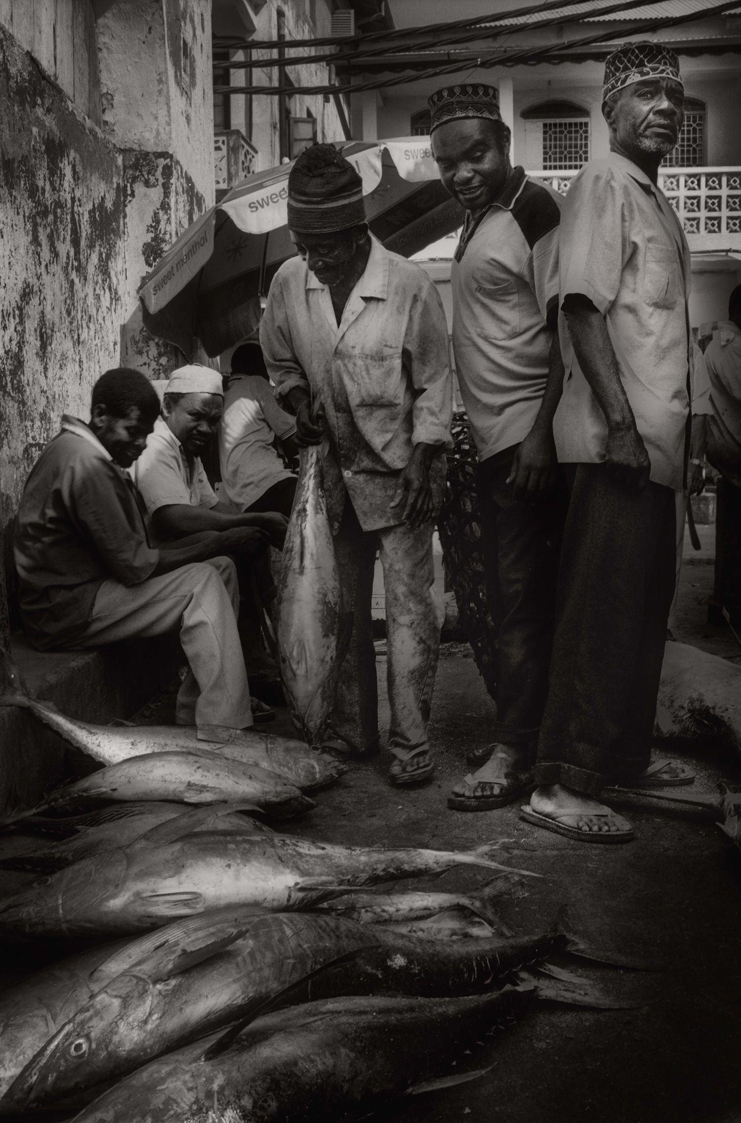Thumbnail — Darajani Market VIII