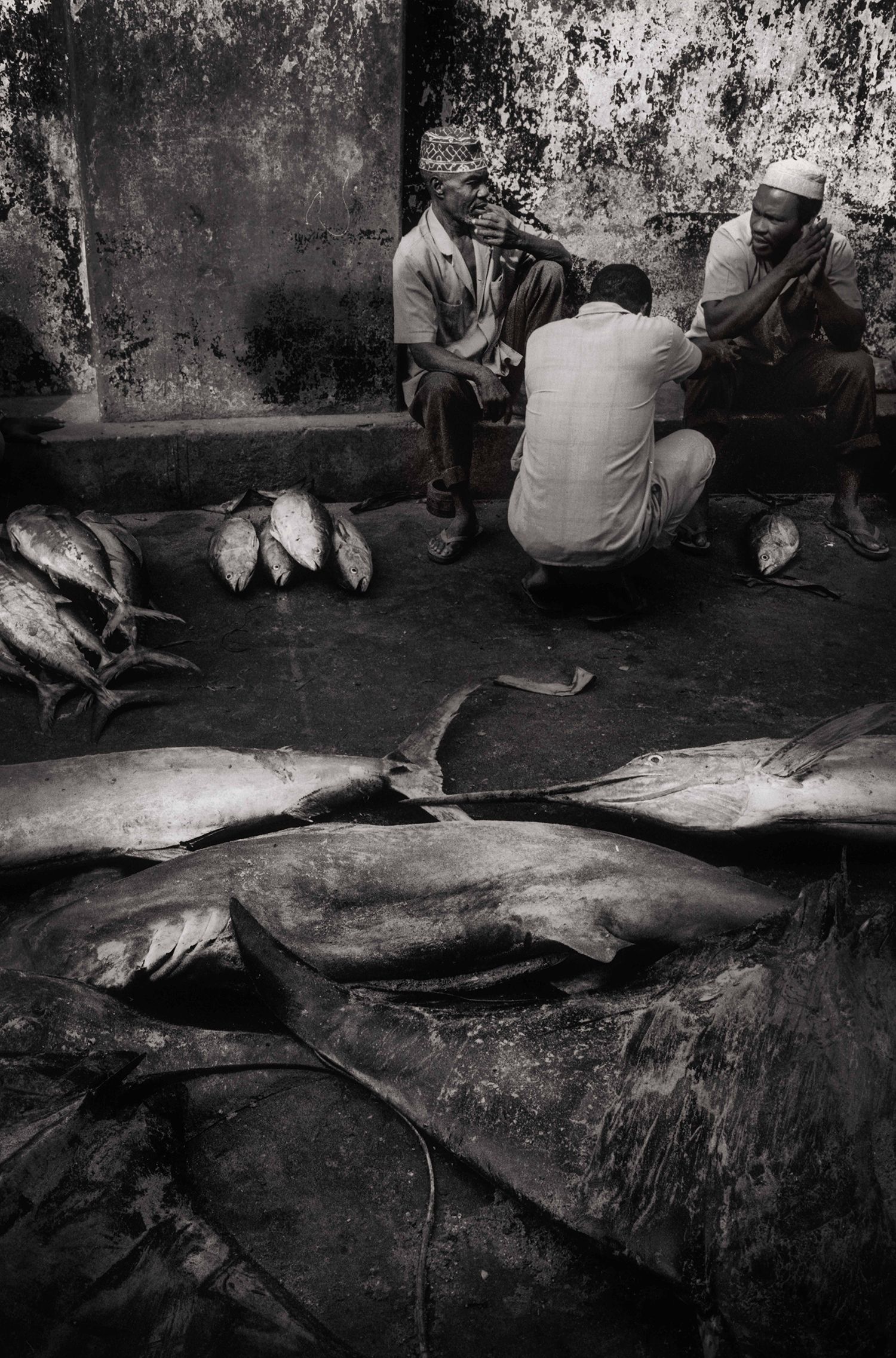 Slideshow view — Darajani Market X