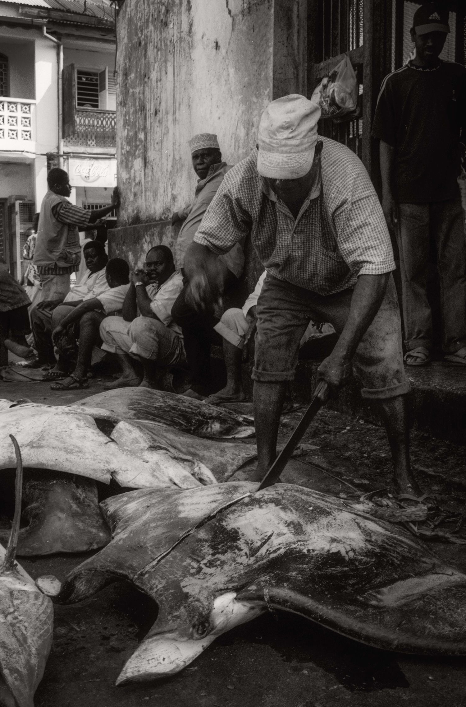Thumbnail — Darajani Market IV