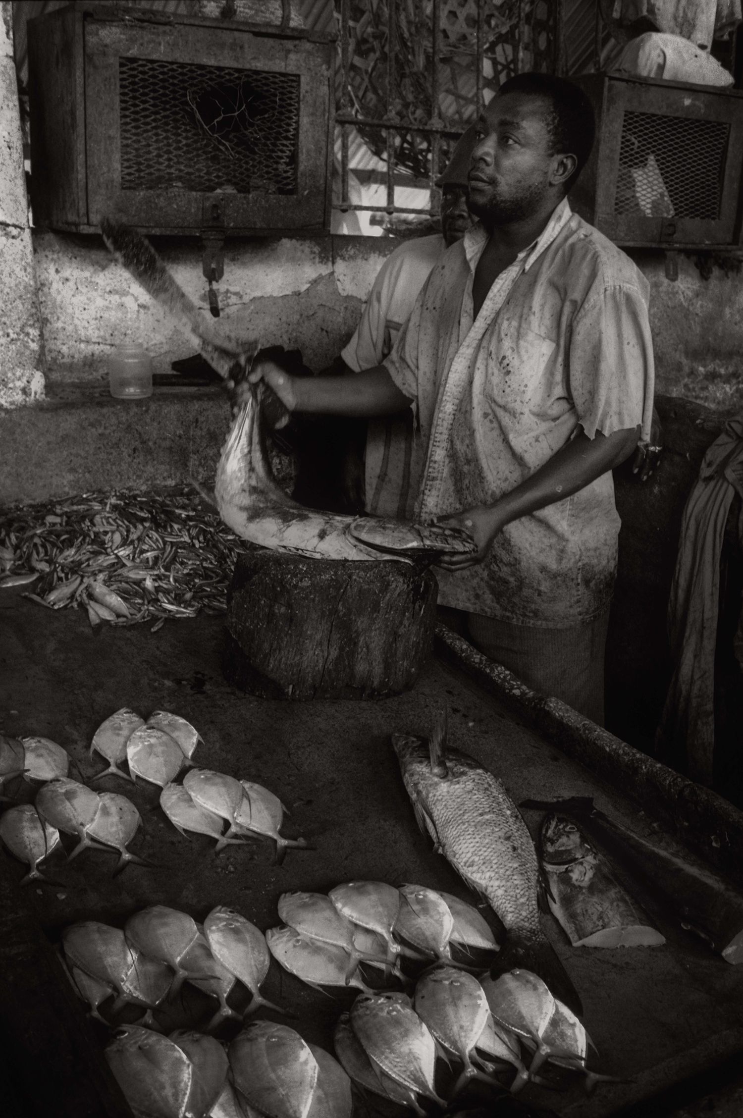 Slideshow view — Darajani Market XVI