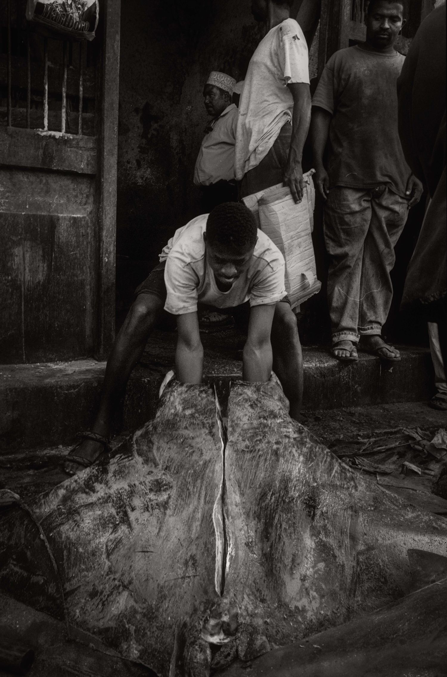 Slideshow view — Darajani Market V