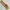 Gallery Img 15
