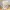 Gallery Img 16