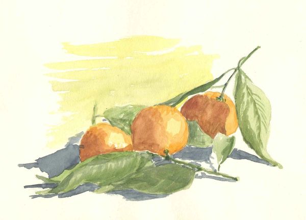 Mandarini, 1968
