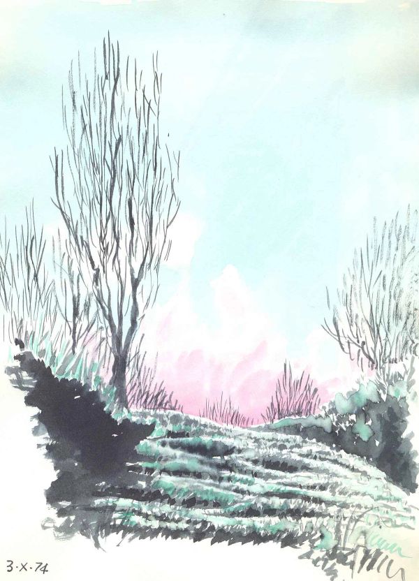 Alberi spogli e cielo rosa, 3 ottobre 1974