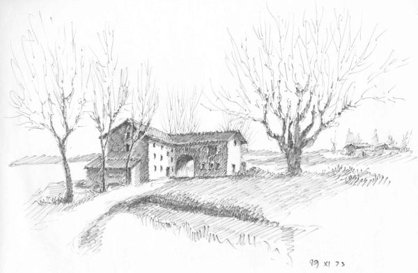 Casa colonica tra alberi spogli, 29 novembre 1973