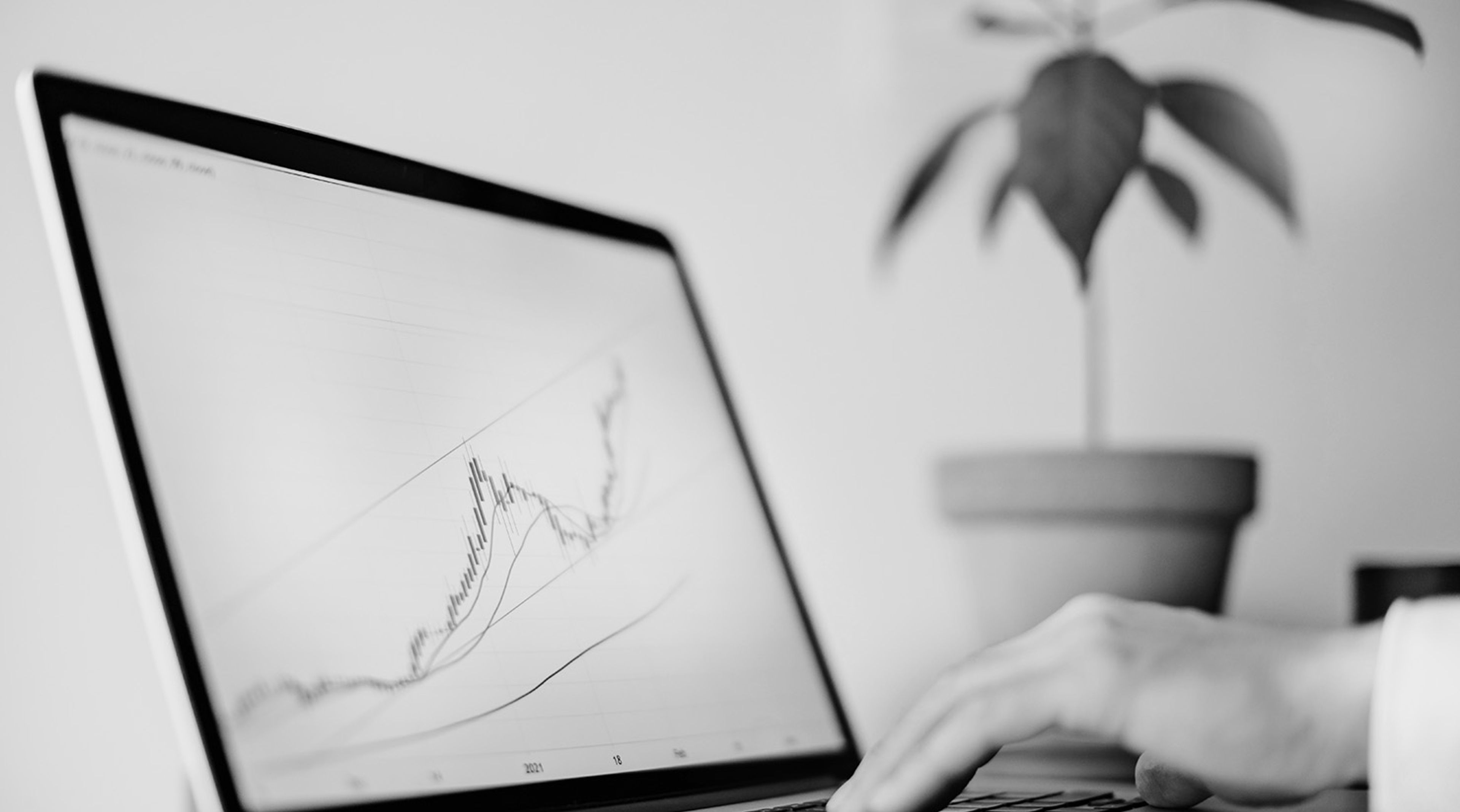 Weekly Crypto Market Update - December 11, 2023