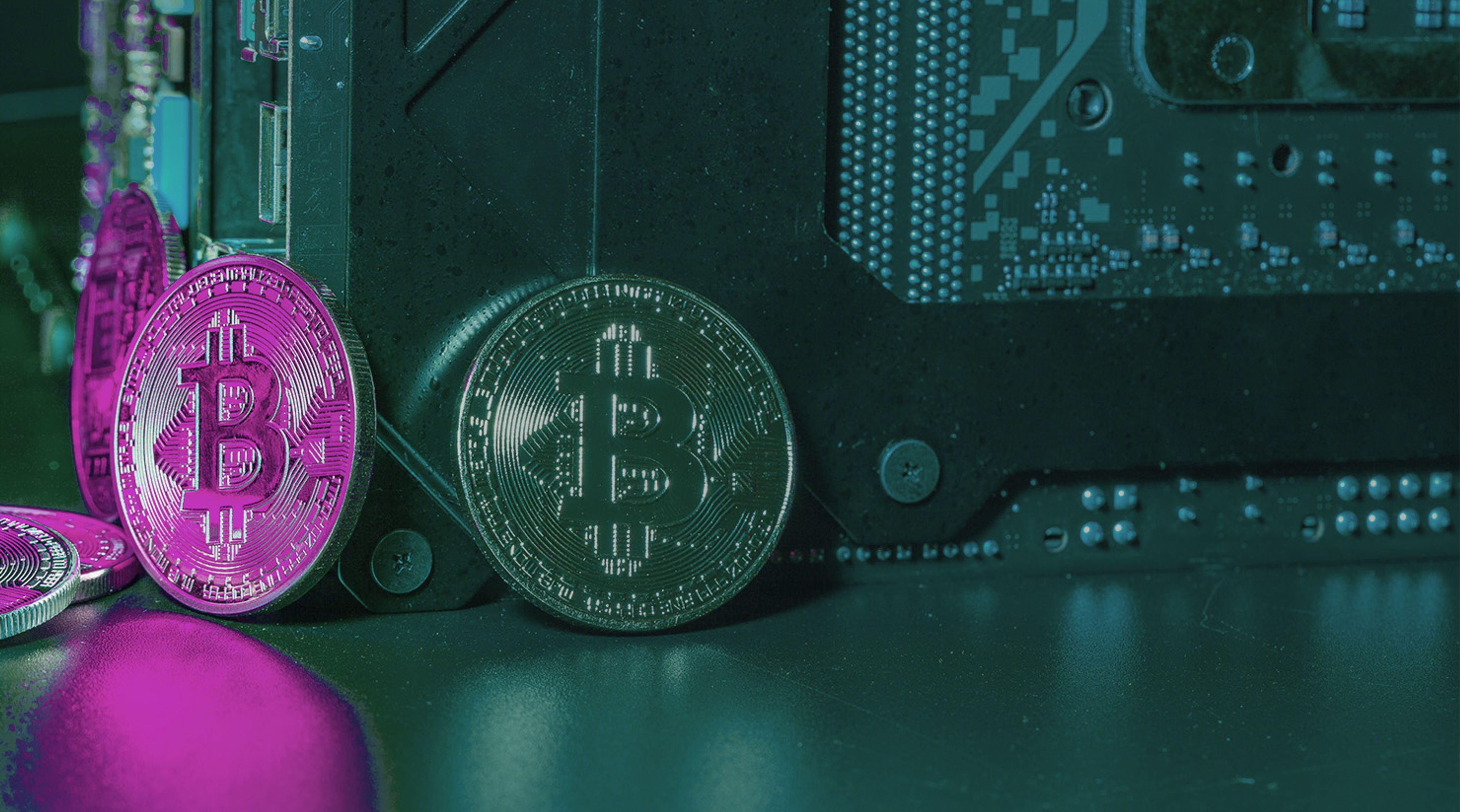 Weekly Crypto Market Update - February 5, 2024