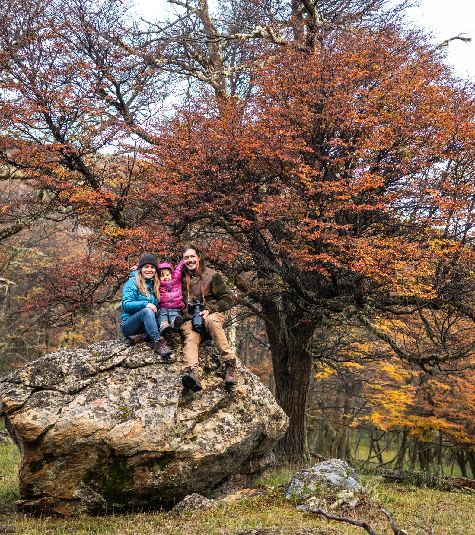 Timothy, Lisette and their daughter sitting on a boulder beneath a lenga tree in autumn colours
