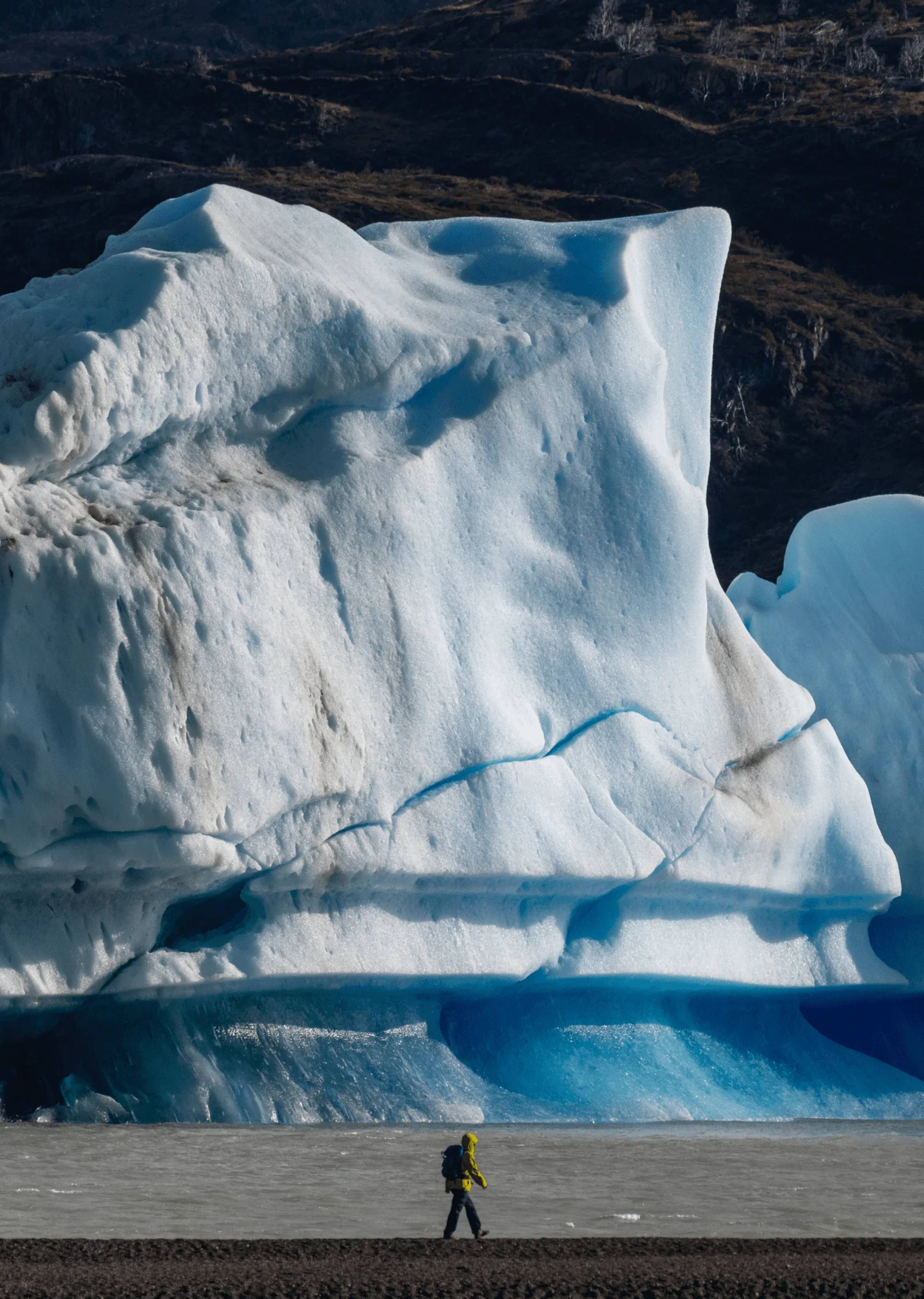A hiker in a yellow jacket walking the shore, dwarfed by a blue iceberg calved from the Grey glacier