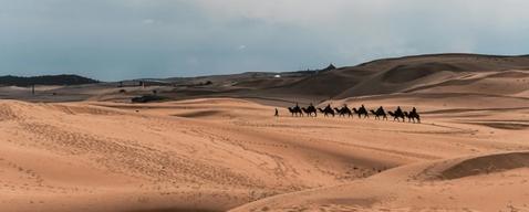 Mongolian Nomads