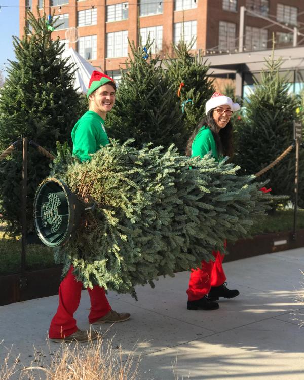 Tree Elves carrying a big Fraser Fir