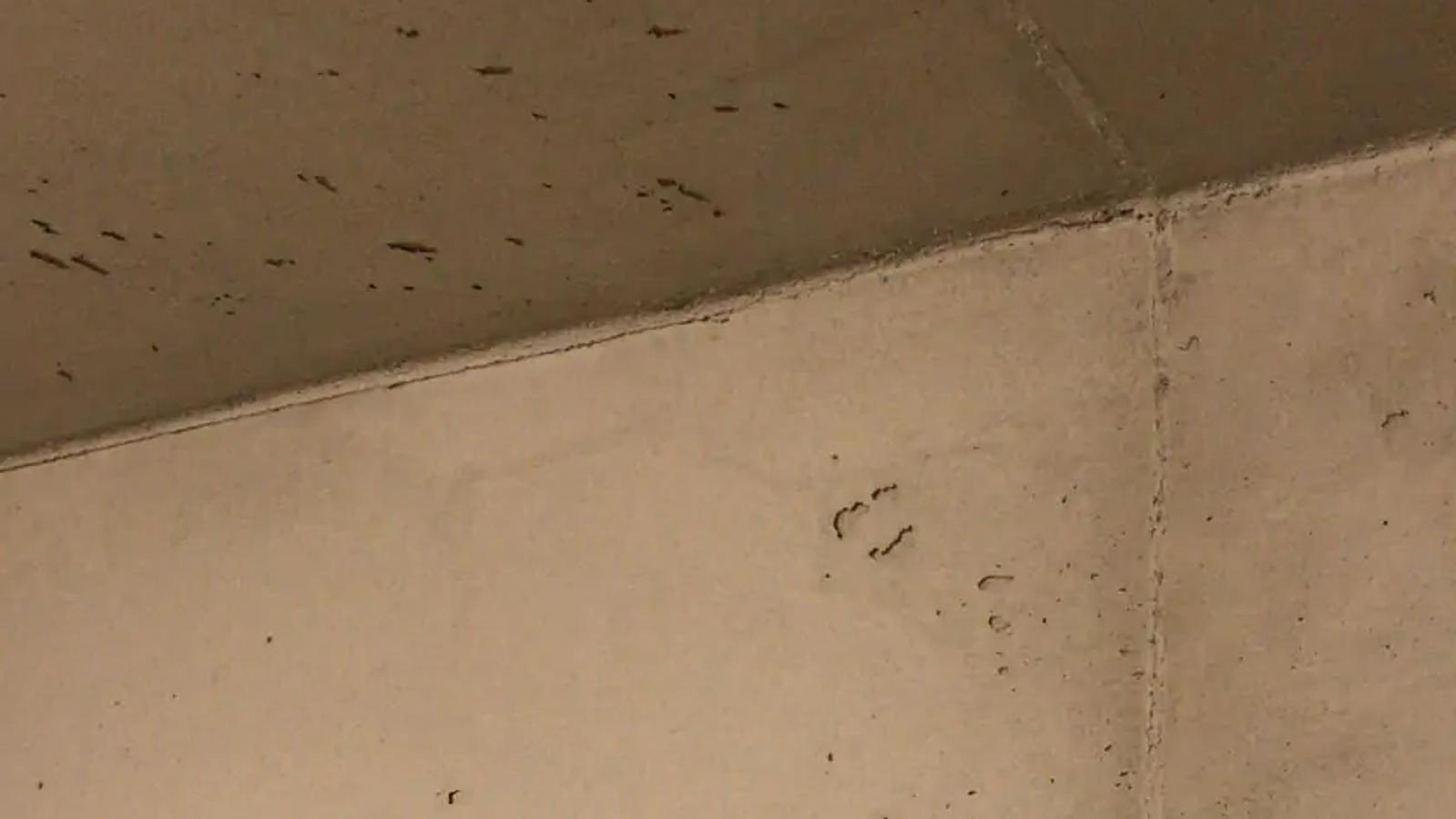 Anwendung – Bild 4