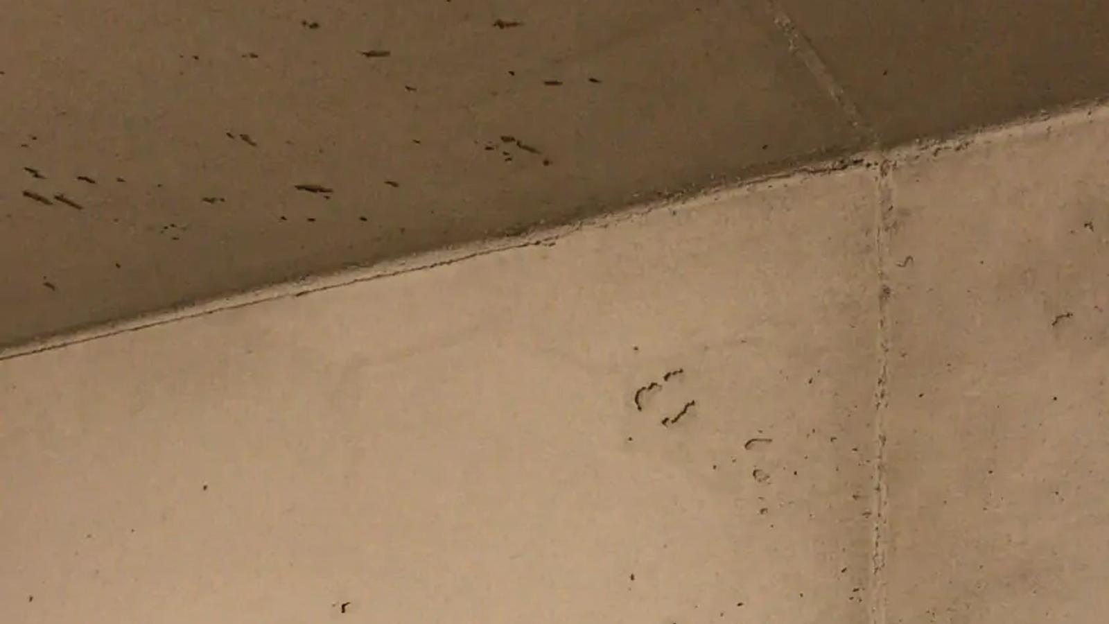 Anwendung – Bild 4