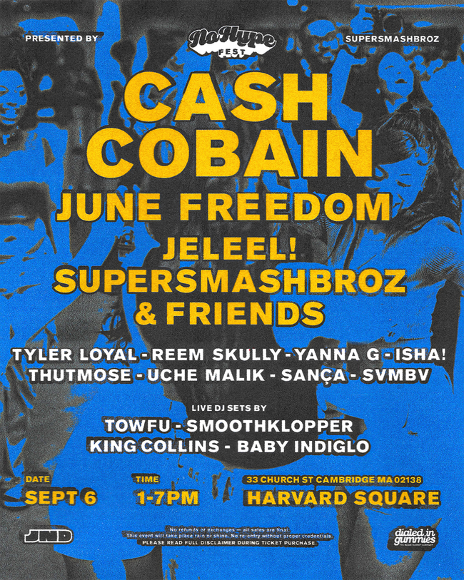 No Hype Fest 2025 artwork