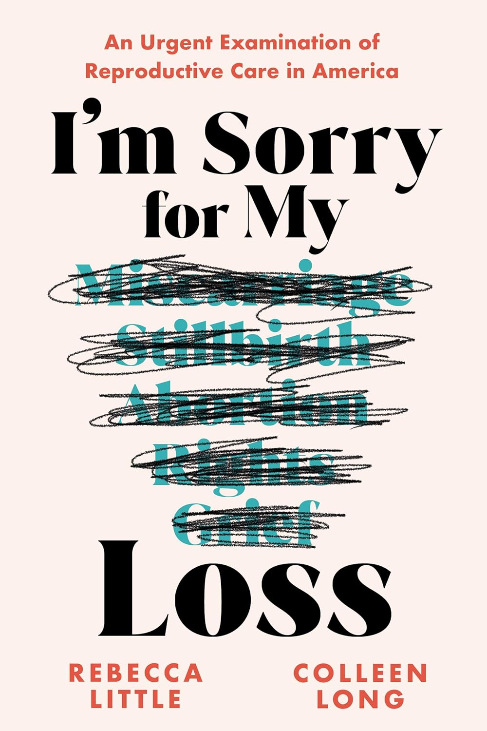 I'm Sorry for My Loss Book Summary