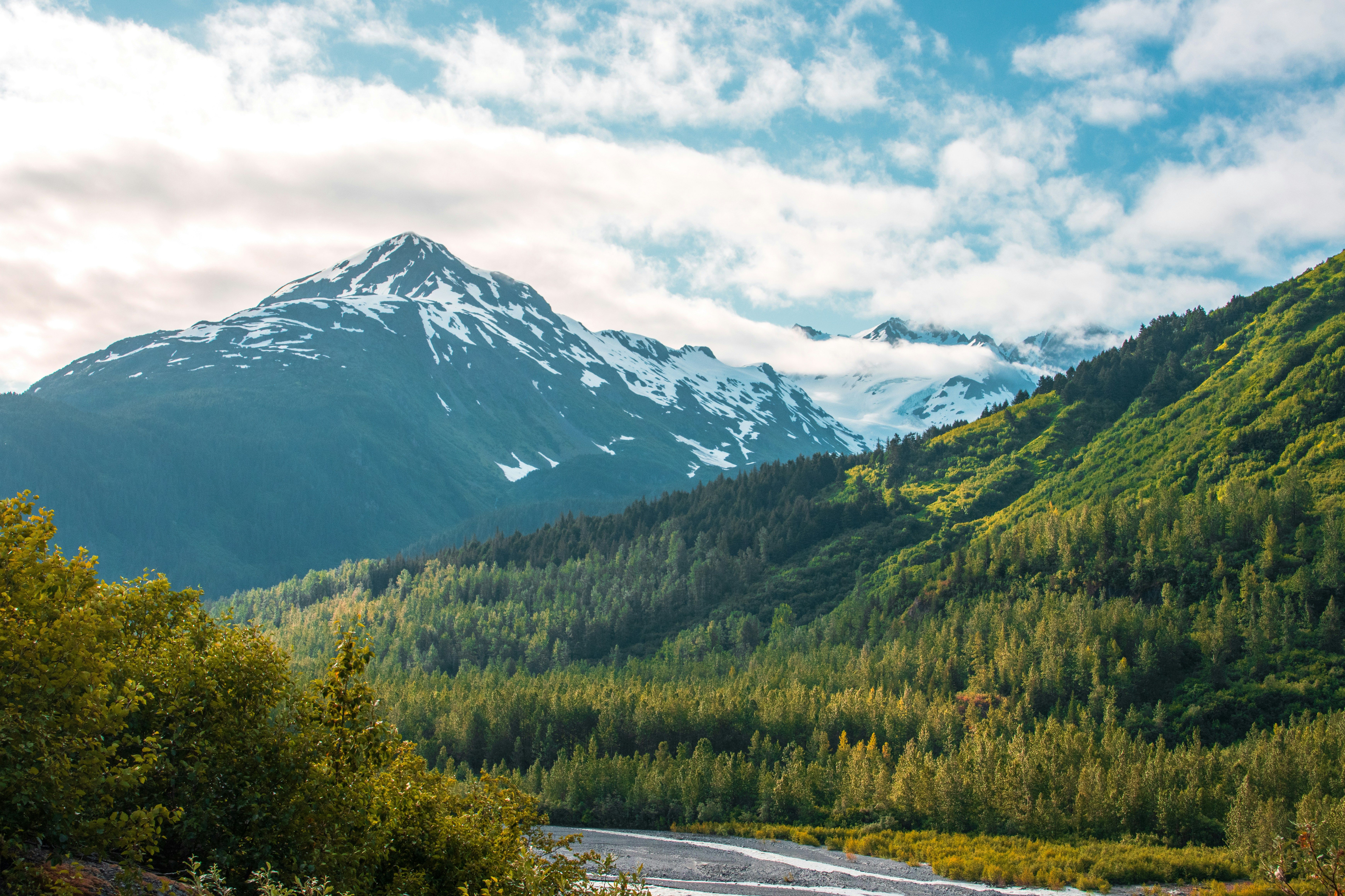 Kenai River with forest and snow-capped mountain in background
