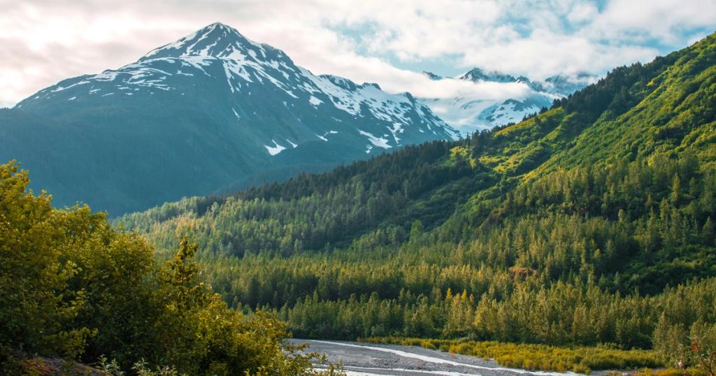 Kenai River with forest and snow-capped mountain in background