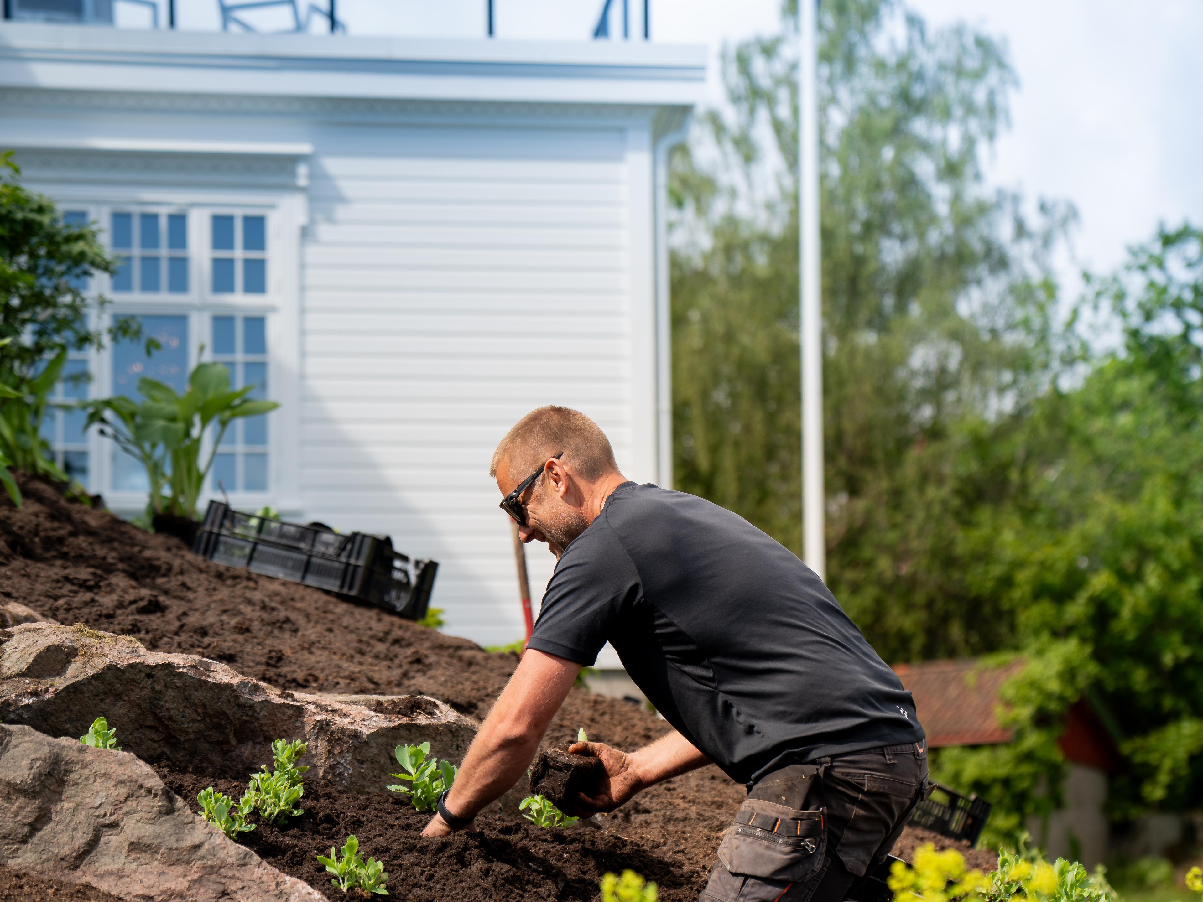 Gartner planter i steinbed mellom store natursteiner
