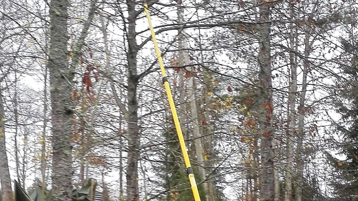 Arborist beskjærer med stangsag