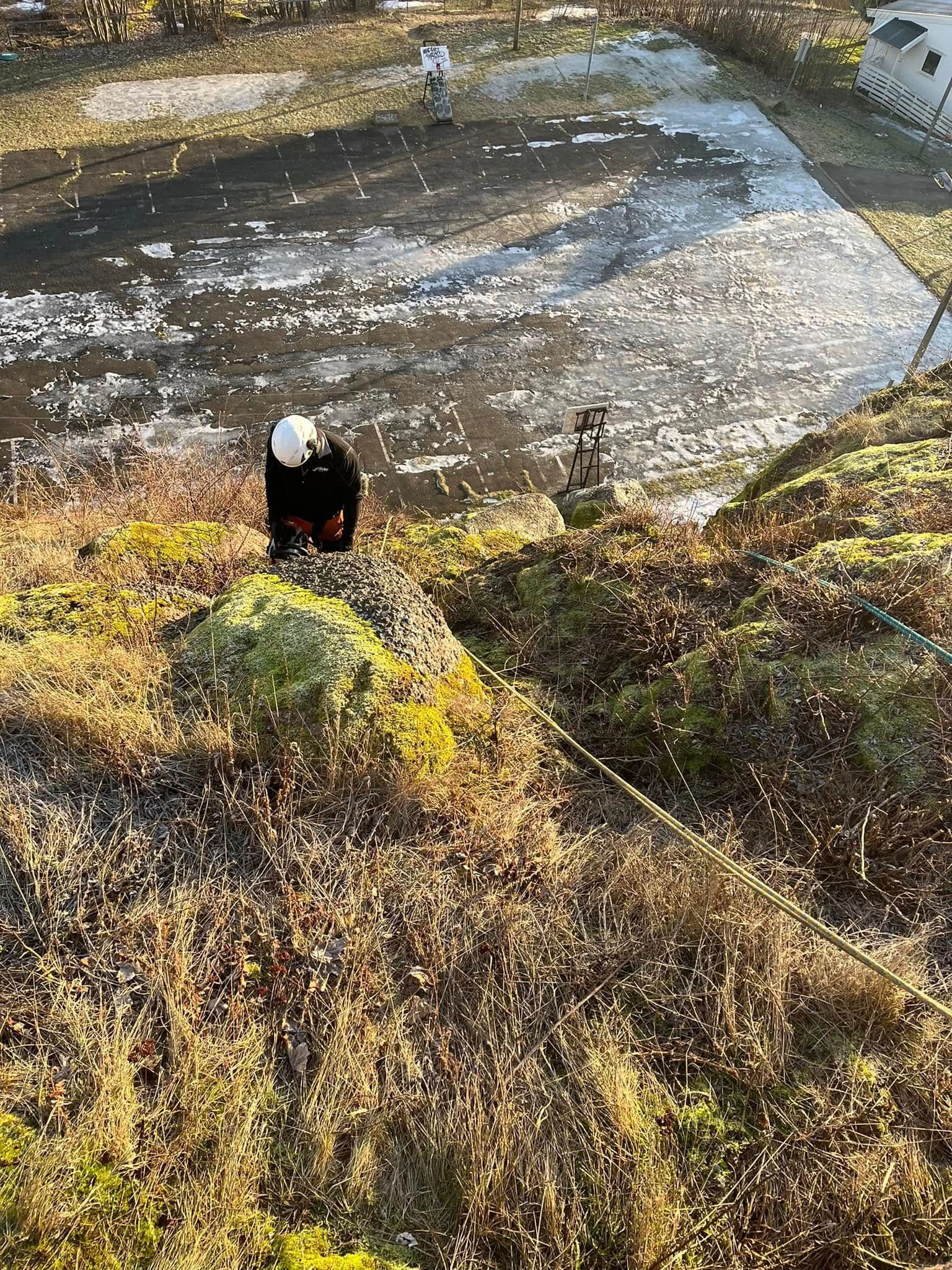 Rydding av vegetasjon i bratt bergterreng