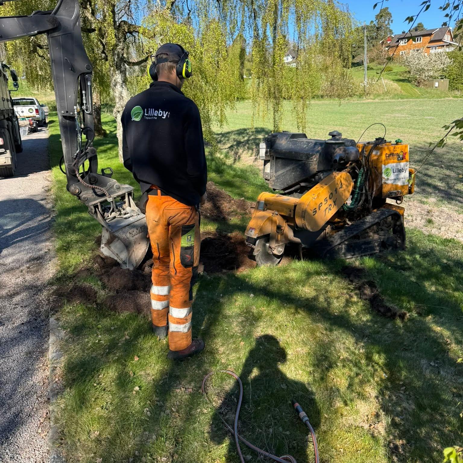 Arborist med stubbefreser i arbeid på en plen