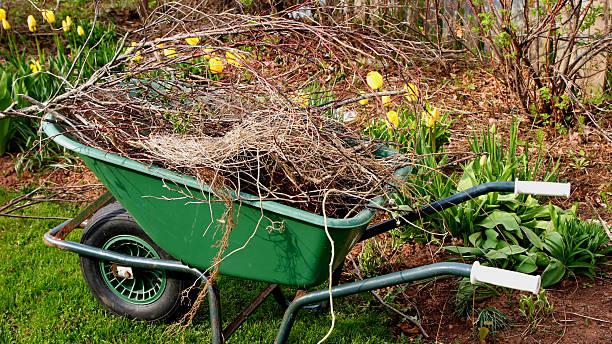 Blomsterbed for nybegynnere: slik lager du bed på plenen