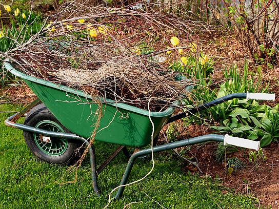 Blomsterbed for nybegynnere: slik lager du bed på plenen