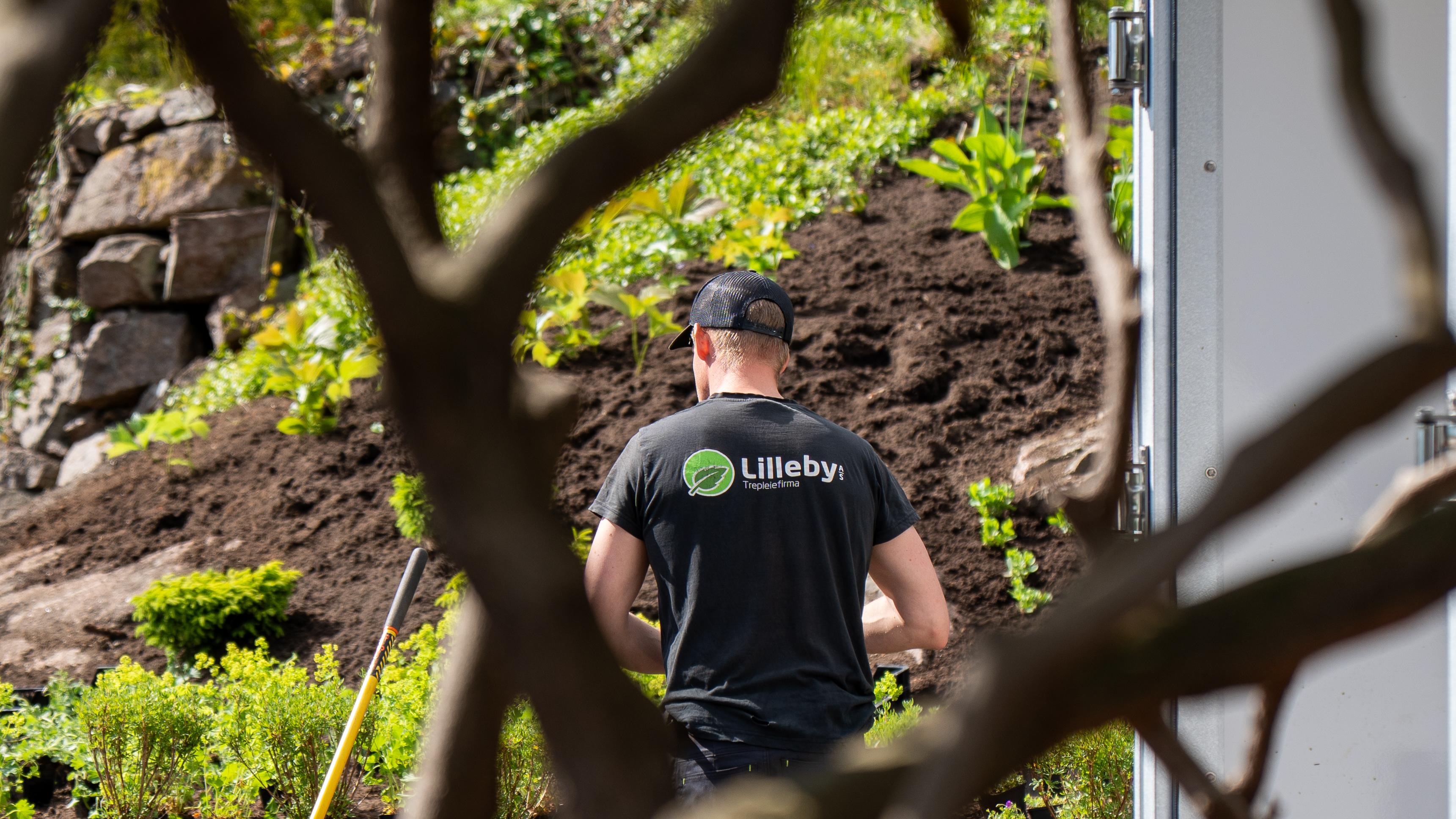 Opphøyd bed bak granittblokker under beplantning