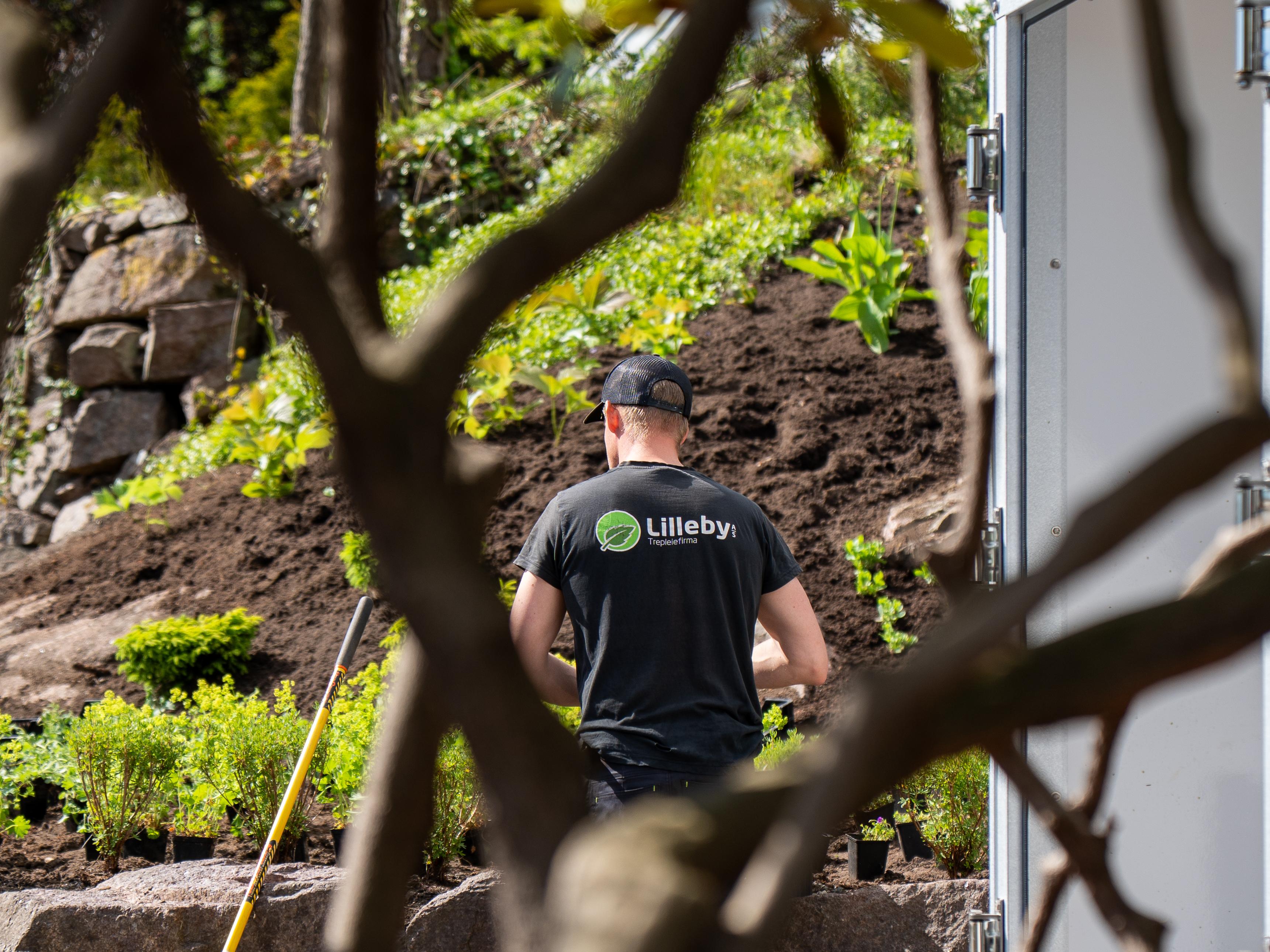 Opphøyd bed bak granittblokker under beplantning