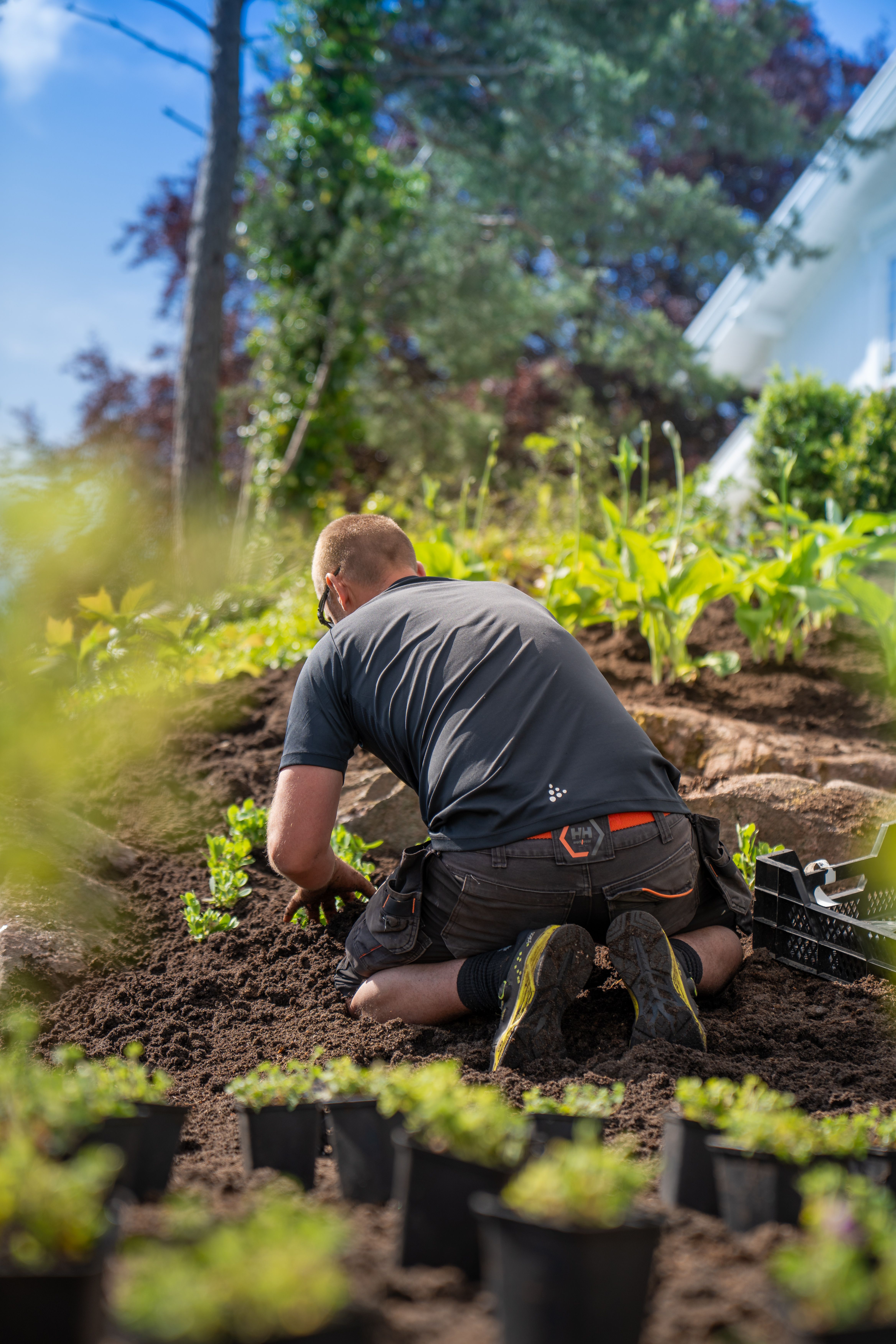 Gartner på kne planter småbusker i et nygravd bed ved huset