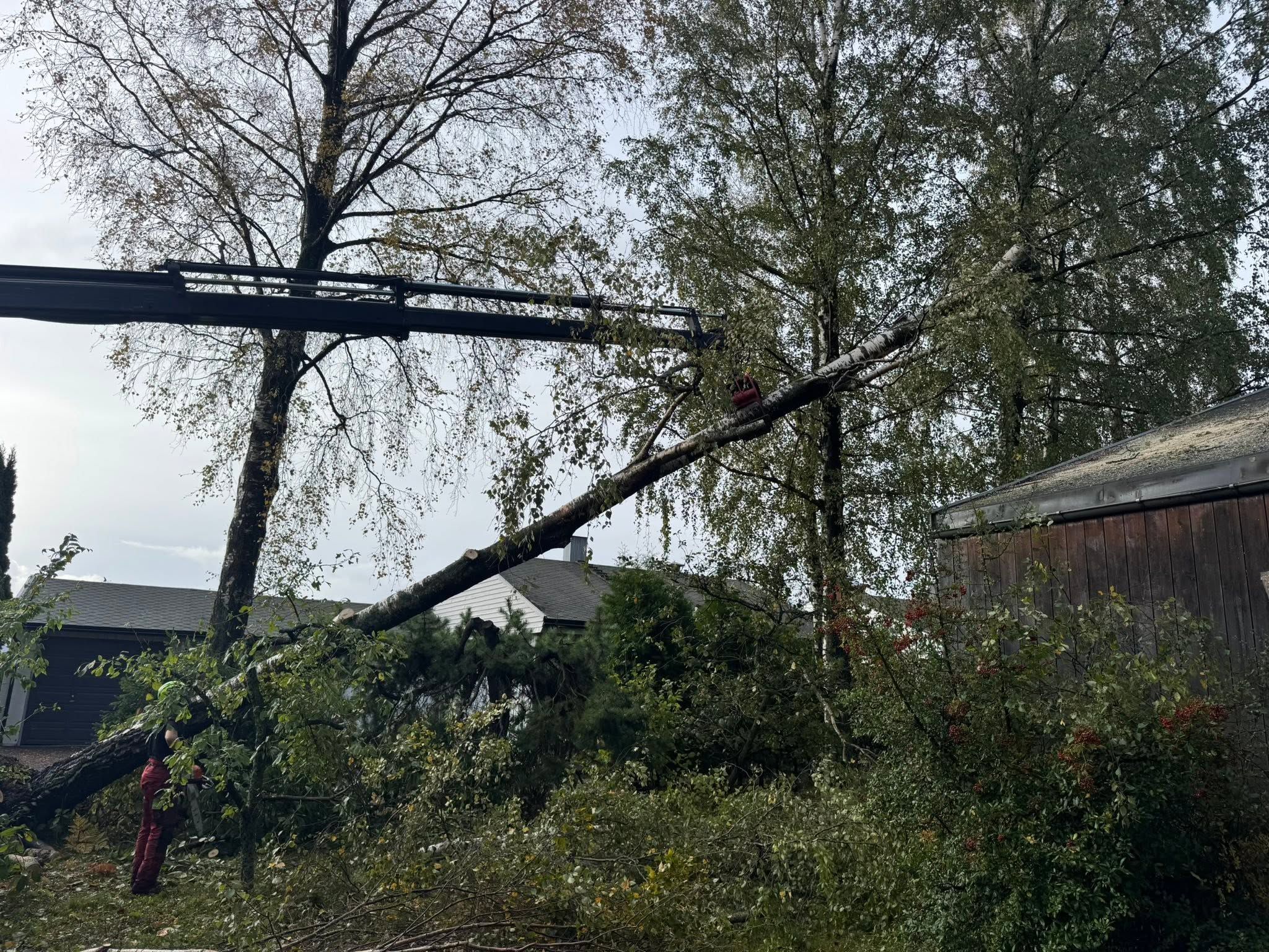 Kranbil løfter et stormfelt tre av et uthus