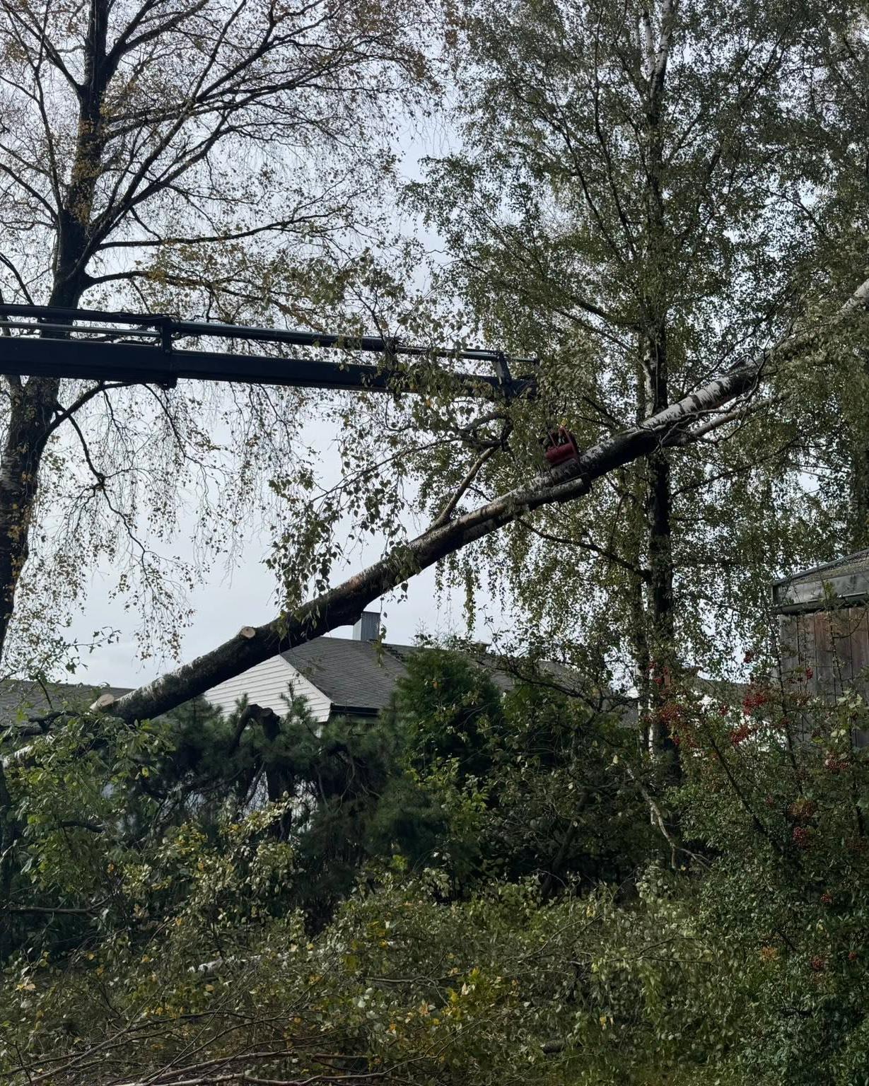 Kranbil løfter et stormfelt tre av et uthus