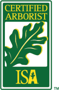 ISA Certified Arborist – sertifisert arborist