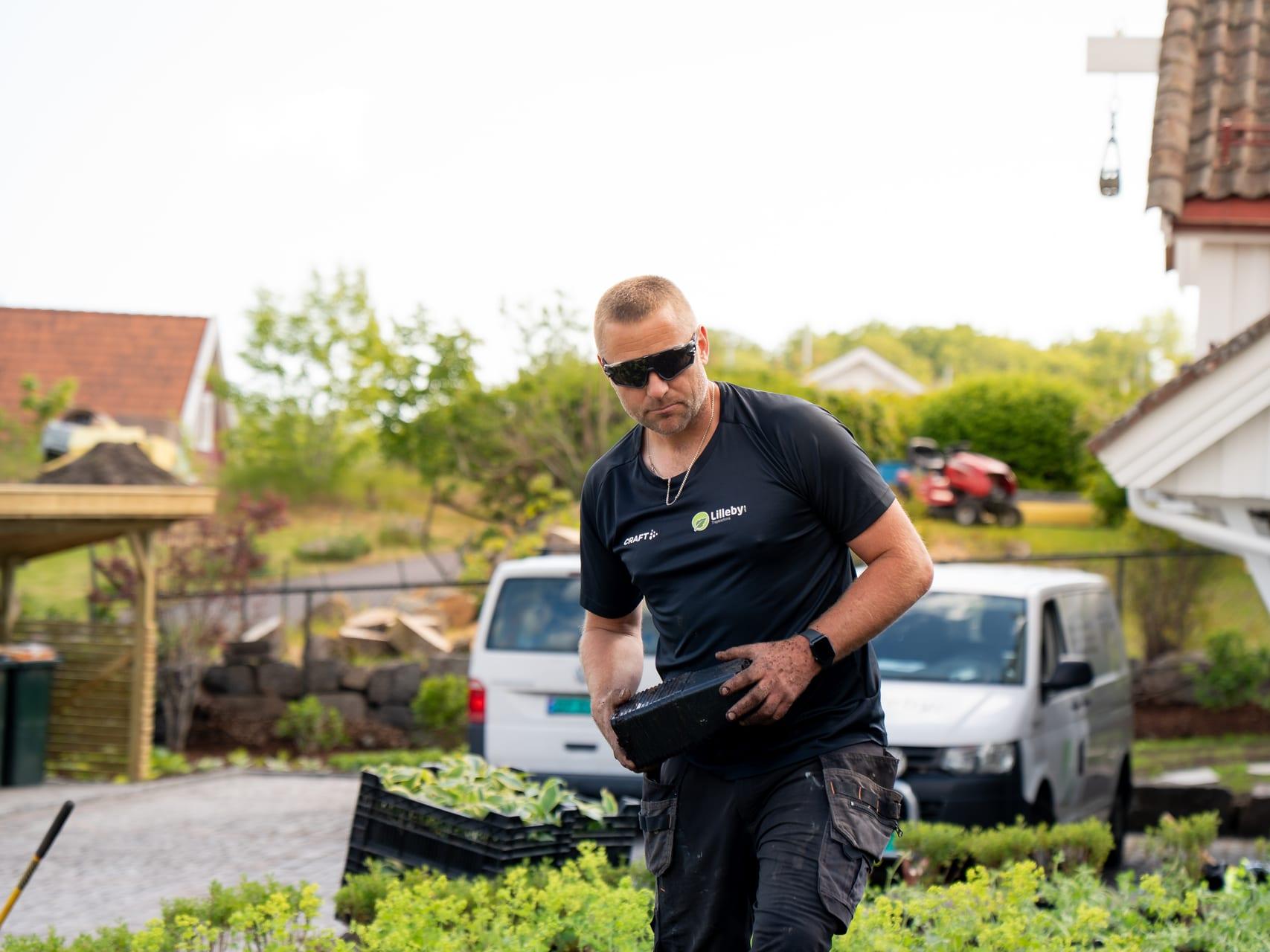 Utplanting av sommerblomster i stort bed