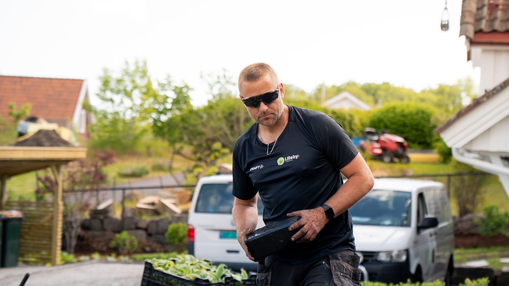 Utplanting av sommerblomster i stort bed