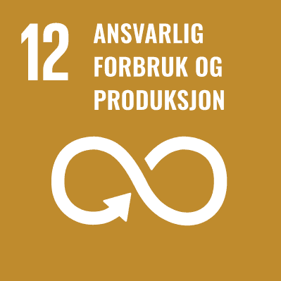 FNs bærekraftsmål 12 – Ansvarlig forbruk og produksjon