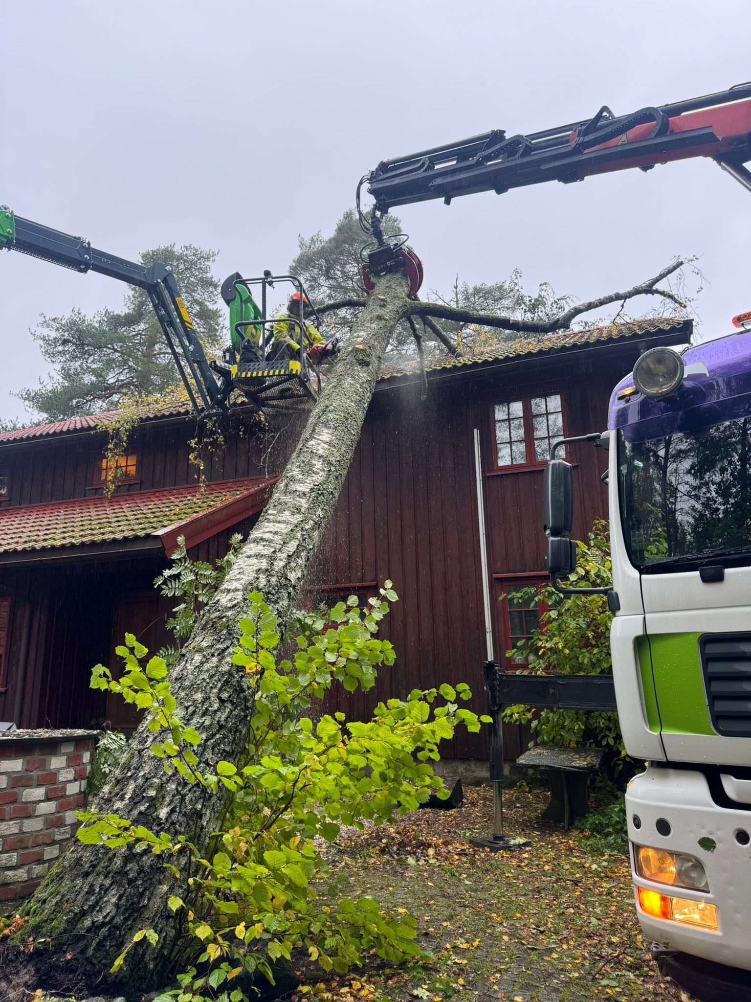 Kranbil i arbeid med et tre som har falt mot et rødt hus