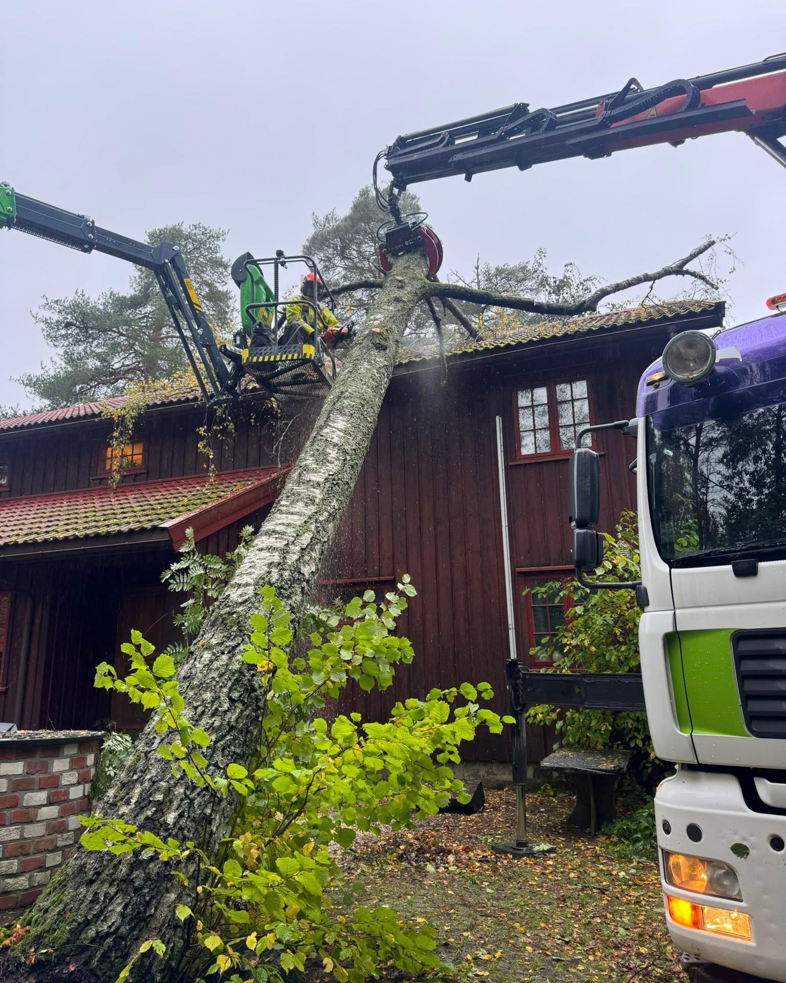 Kranbil i arbeid med et tre som har falt mot et rødt hus