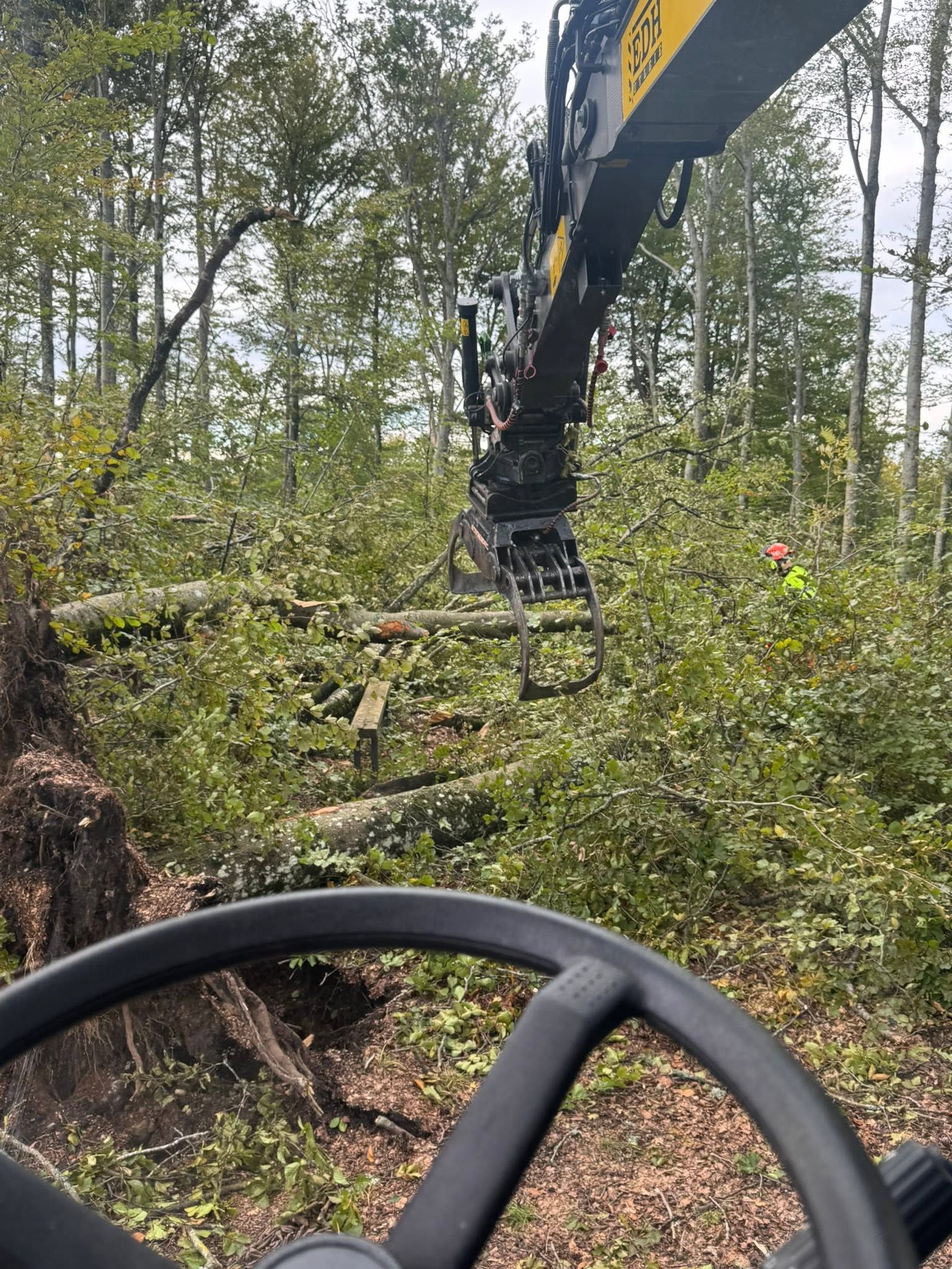 Gravemaskin med grabb rydder kvist etter felling