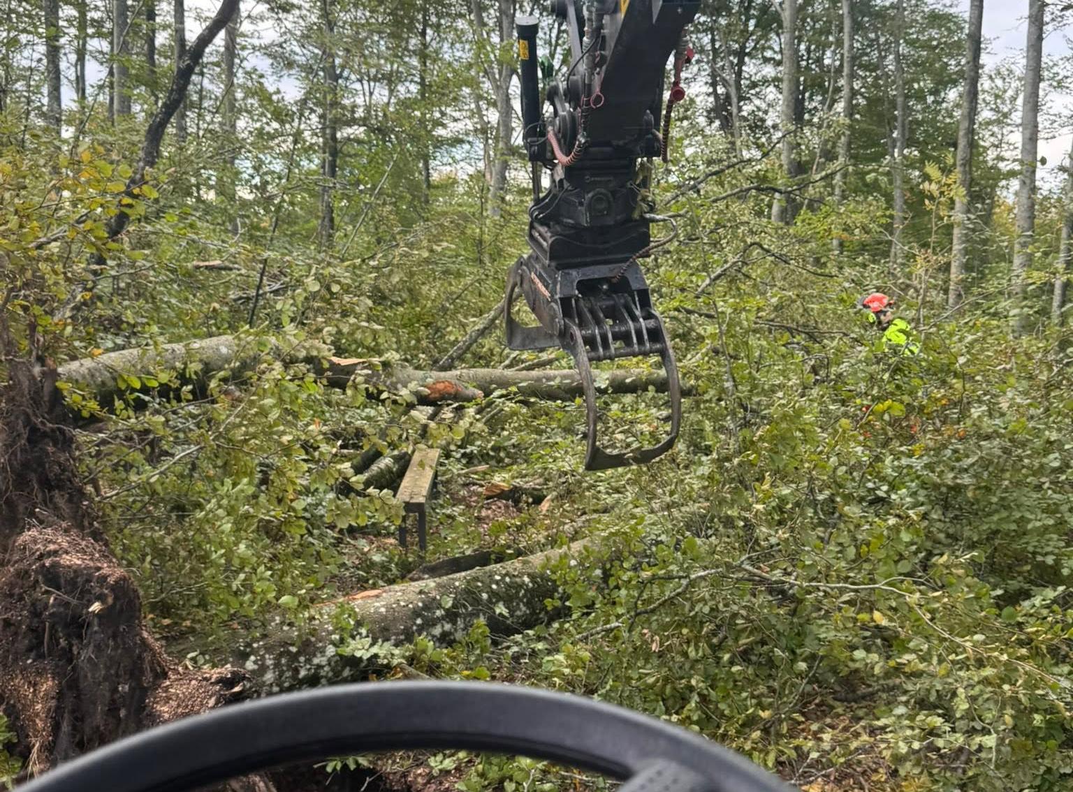 Gravemaskin med grabb rydder kvist etter felling