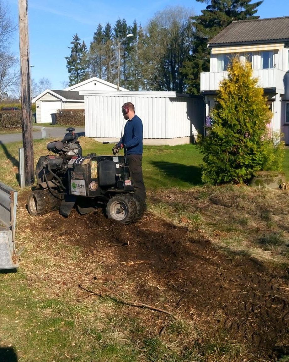 Stubbefreser og bil på en plen under stubbefjerning