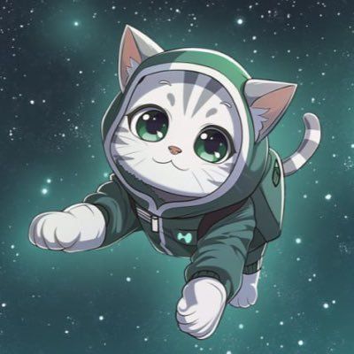image for Hypurrcollective