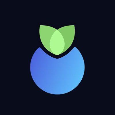 image for Blueberry Protocol