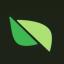 icon of Pear Protocol